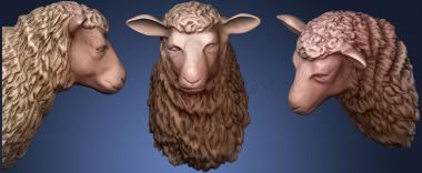 3D model Sheep Head (STL)